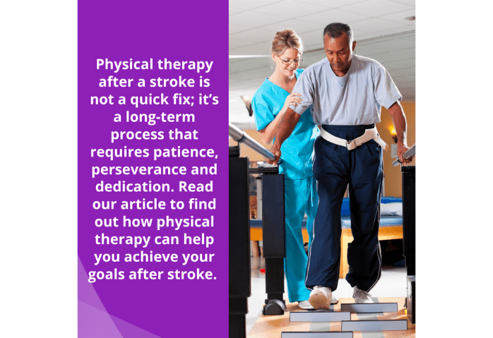 Stroke patient with Physical Therapist