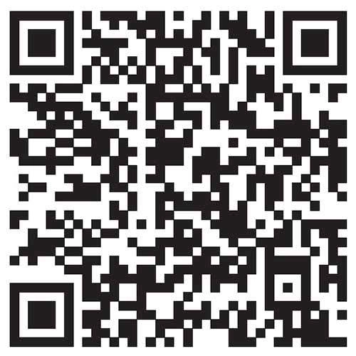 Google Play link